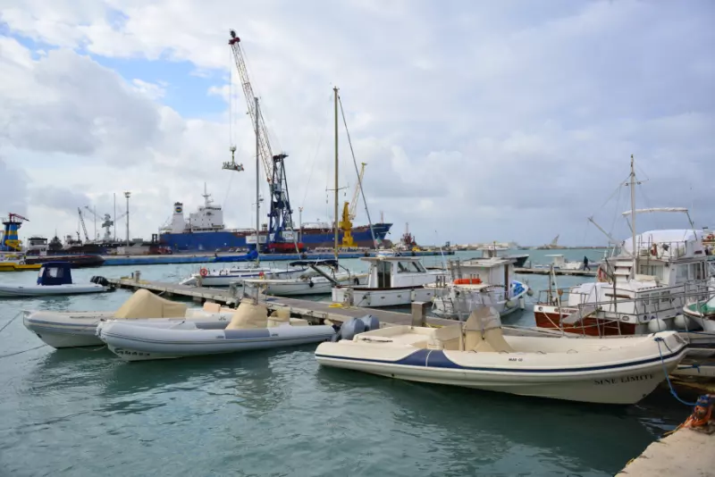 Do Boats Get Damaged Easily Image